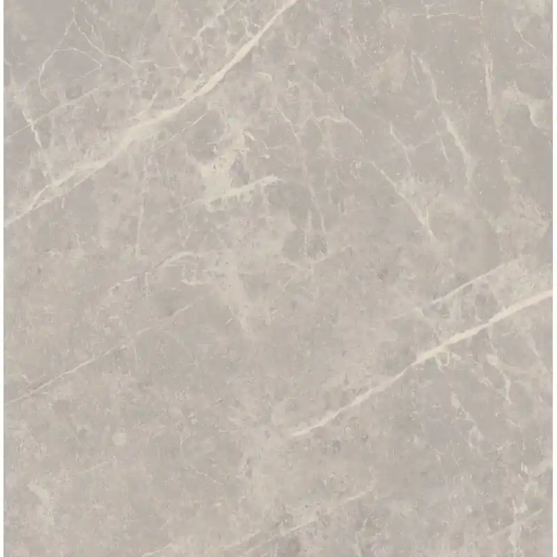 Veilige Betaling ELEMENTAL STONE GREY DOLOMIA LUCIDO 60X60
