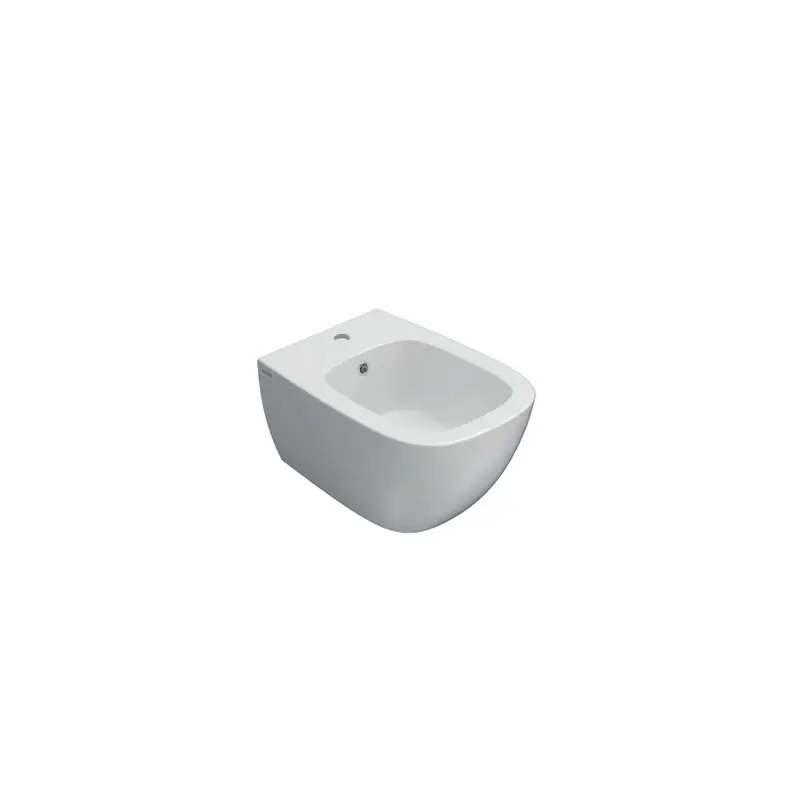 Alleen Vandaag GENESIS BIDET SOSPESO