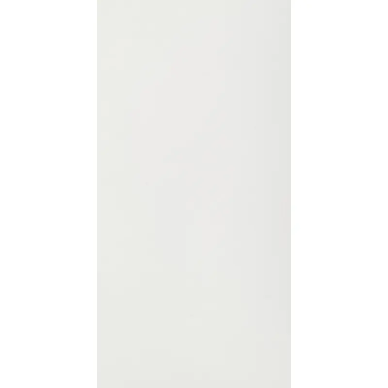 Beperkte Voorraad B&W WHITE NATURALE 60X120 RETTIFICATO - SP.6MM
