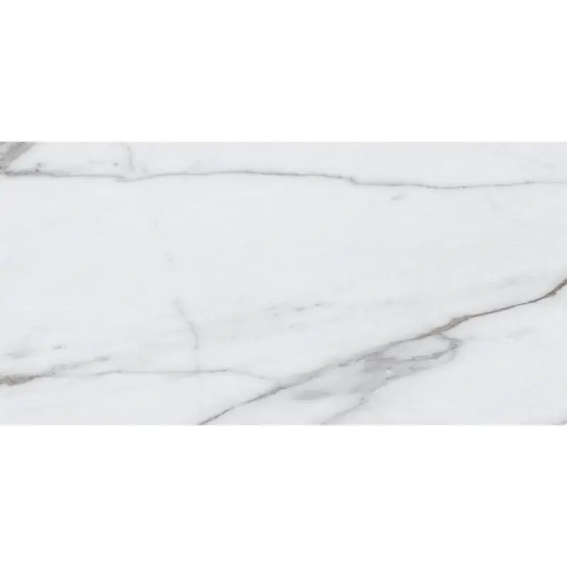 VERSILIA WHITE LUCIDO 60X120 RETTIFICATO Laatste Versie