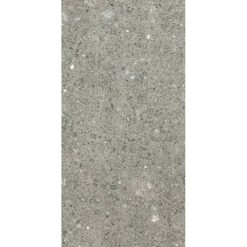 Betaalbaar STONTECH/4.0 STONE_04 R+PTV 60X120