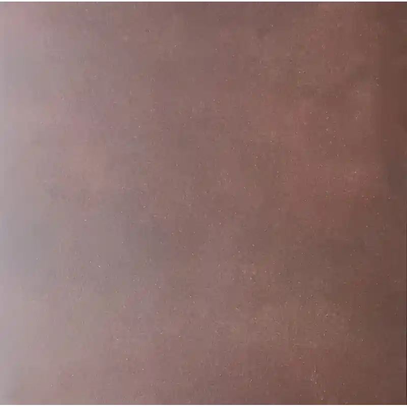 ARIOSTEA RUST PLATE HIGH HONED 60X60 (STOCK) Direct Beschikbaar