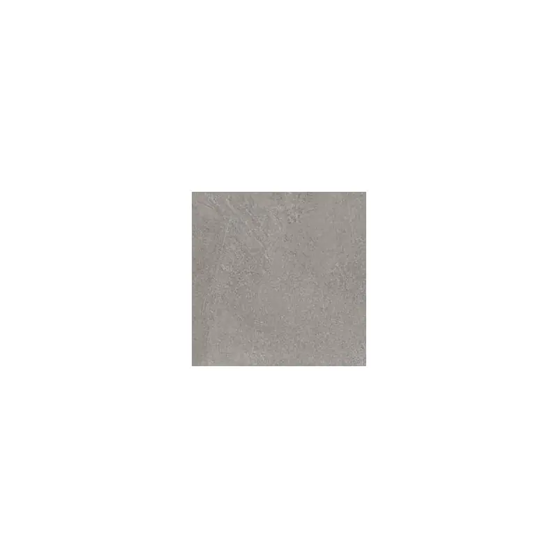 REALSTONE SLATE IRON 60X60 RETTIFICATO Bestel Nu
