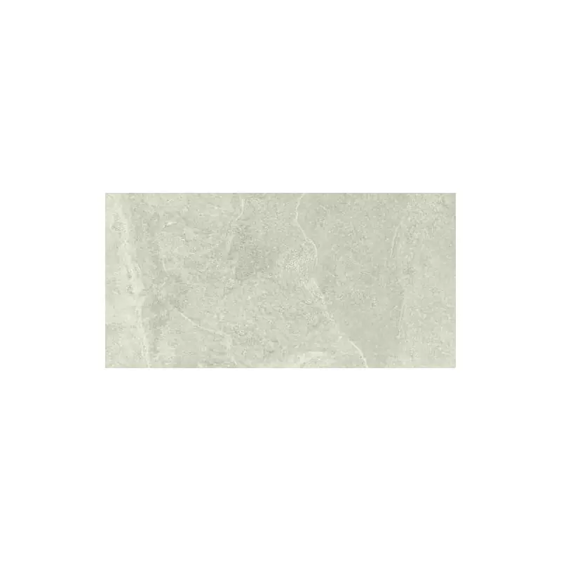 REALSTONE SLATE SHELL 30X60 RETTIFICATO Favoriet