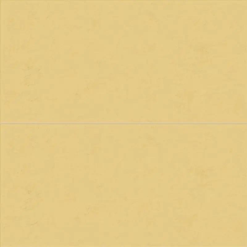 WIDE & STYLE MINI GINGER 60X120 RETTIFICATO Veilige Betaling