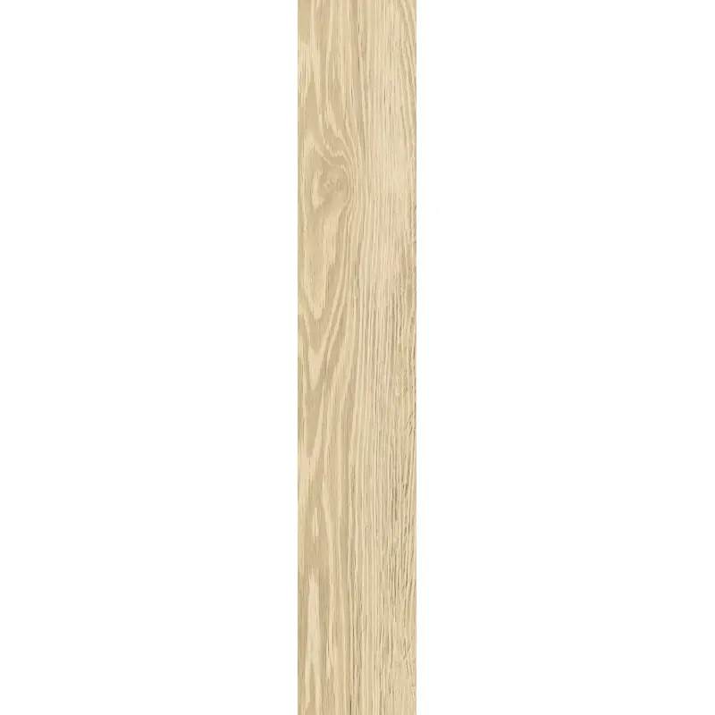 SUNWOOD LIGHT NATURALE 10X60 RETTIFICATO - 9MM Alleen Vandaag
