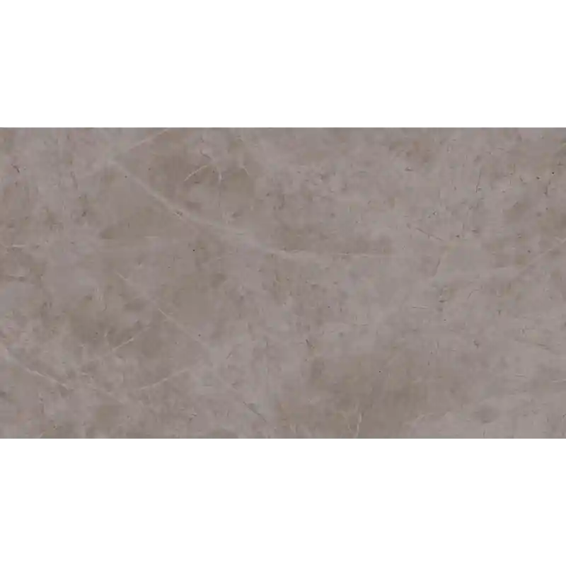 Veilige Betaling EXIGO JOLIE GRAY LUCIDO 30.5X56 RETTIFICATO