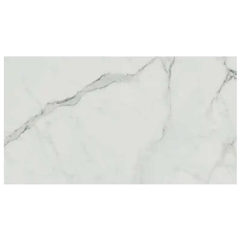 EXIGO STATUARIO LUCIDO 30.5X56 RETTIFICATO Betaalbaar