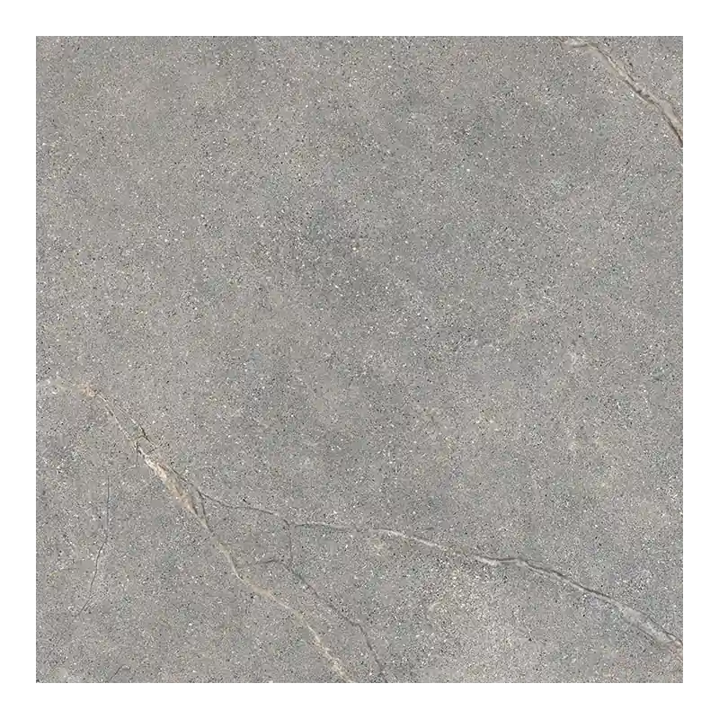 Premium ANTHOLOGY 04 GRAY WORN RETT 60x60 9,5 mm
