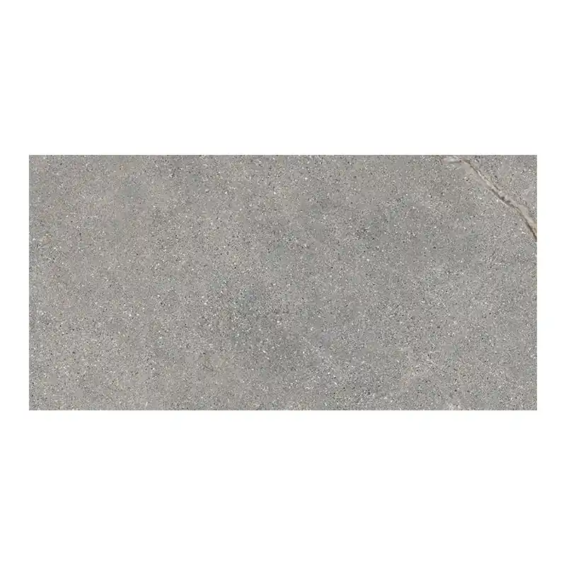 Beste Prijs ANTHOLOGY 04 GRAY ROUGH RETT 60x120 20 mm R11