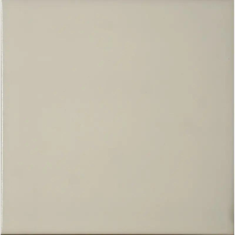 Betrouwbaar Bianco Vietri 20x20