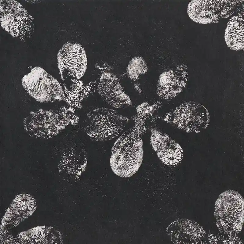 Aanbieding Mutina - Chymia Decoro Black Ophelia 30X30 Rettificato Matt Sp. 10 mm - GAC25