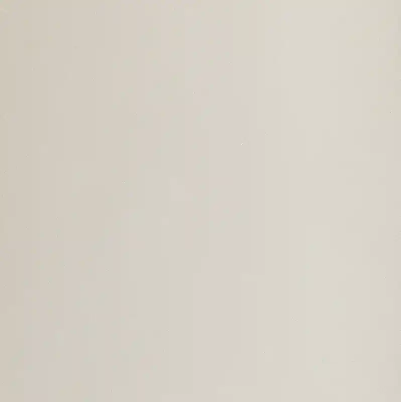 Shop Nu Buildtech White Tu 60x60 Rettificato Matt - Naturale Sp. 9 mm - 1,08 Mq