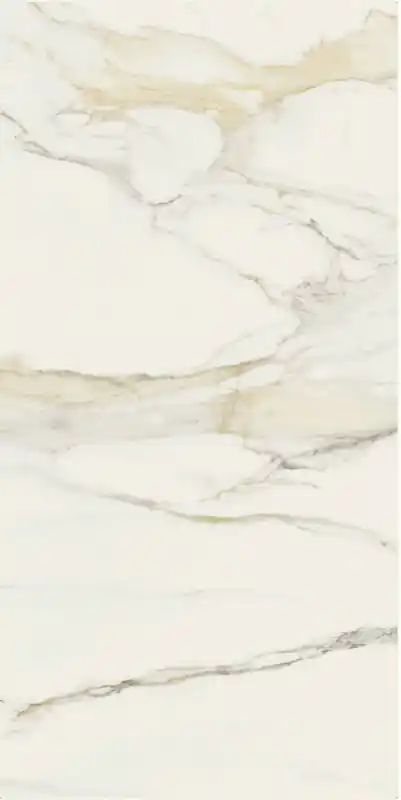 I Classici di Rex Calacatta Gold Chain faccia C 120X240 Rettificato Matt - Naturale Sp. 6 mm, 2,88 Mq Gratis Retour