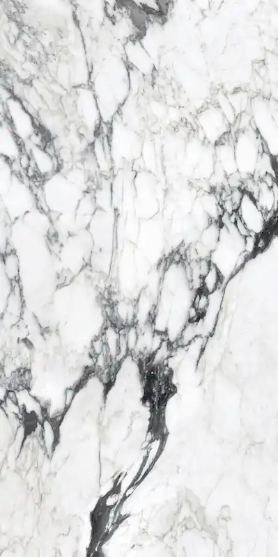 Les Bijoux De Rex Calacatta Altissimo Blanc 120x240 Rettificato Matt - Naturale Sp. 6 mm - 2,88 Mq Gereduceerde Prijs