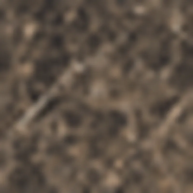 Les Bijoux De Rex Marron Imperial Mosaico 3x3 Non Rettificato Mix Sp. 9 mm - 9 Pz Betaalbaar