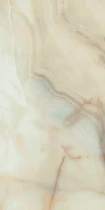 Koopje Les Bijoux De Rex Onyx Blanche 60x120 Rettificato Matt - Naturale Sp. 9 mm - 1,44 Mq