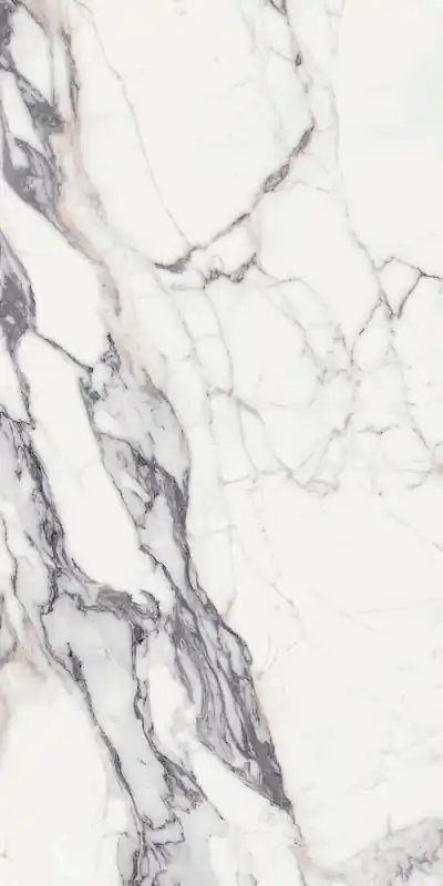 Les Origines De Rex Origines Argent 120x240 Rettificato Glossy Sp. 6 mm - 2,88 Mq Koop Vandaag
