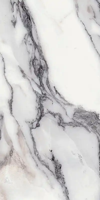 Beste Prijs Les Origines De Rex Origines Argent 60x120 Rettificato Matt - Naturale Sp. 6 mm - 2,16 Mq