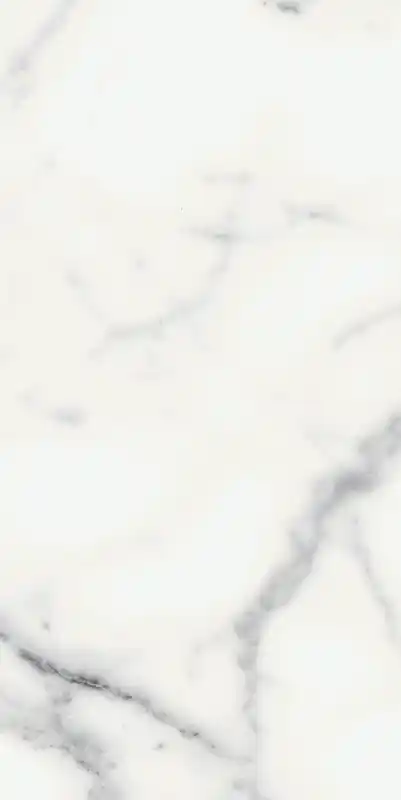 Must-Have Les Origines De Rex Origines Blanc 30x60 Rettificato Glossy Sp. 9 mm - 1,08 Mq