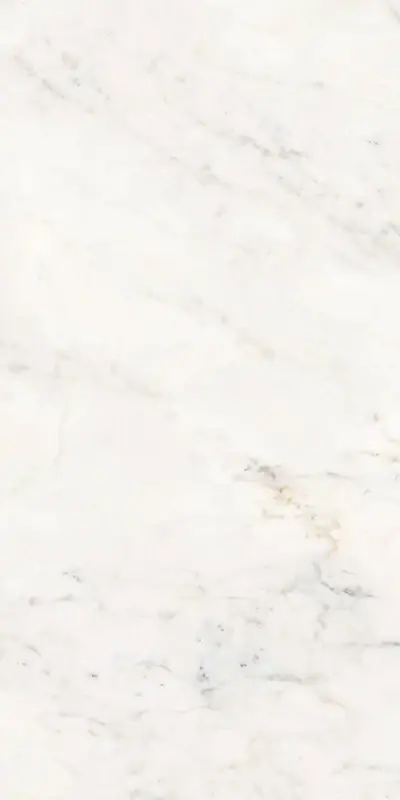 Gecertificeerd Versilia Michelangelo White - Gres Effetto Marmo Lucido 60x120 Rettificato