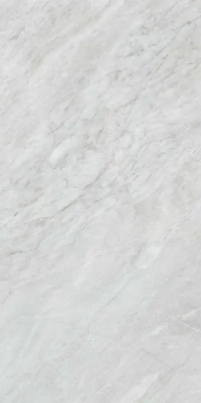 Versilia Bardiglio Silver - Gres Effetto Marmo Opaco 60x120 Rettificato Premium